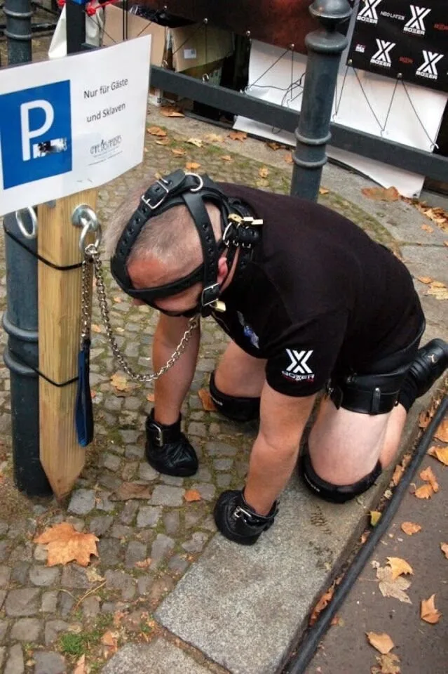 Leather- bundet sub fyr på alle fire i offentligheden, kneppet og lænket til en stang