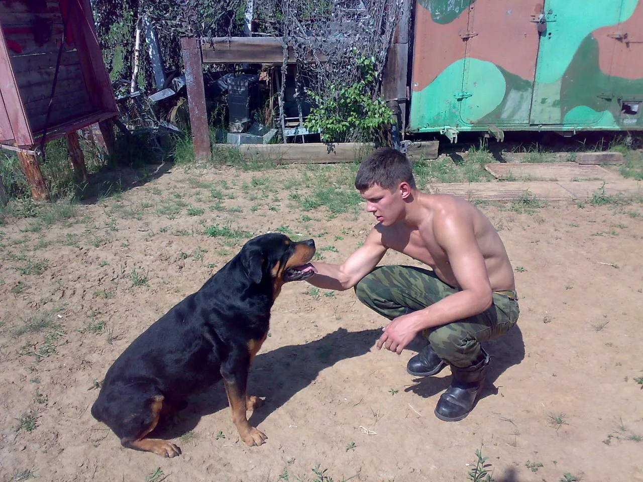 Shirless Slavic dreng i hæren camo bukser kæledyr en rottweiler, bare brystet glitrende i solen
