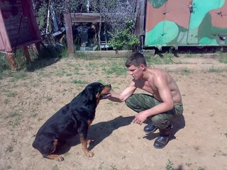 Garoto eslavo sem camisa com calças de camuflagem do exército, faz animais de estimação com um rottweiler, peito nu brilhando ao sol