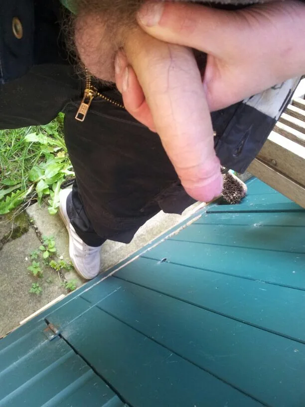 Amateur guy caught mid-zip with cock peeking out, casual outdoor moment